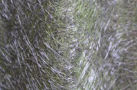 Highfield fibreglass roof work